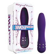Evolved Waterproof Multi Speed Vibrator (Princess/Purple)