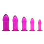 5 Piece Anal Trainer Set - Purple - Royal Sins
