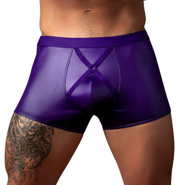 Male Power Eggplant Crossover Short Plum S