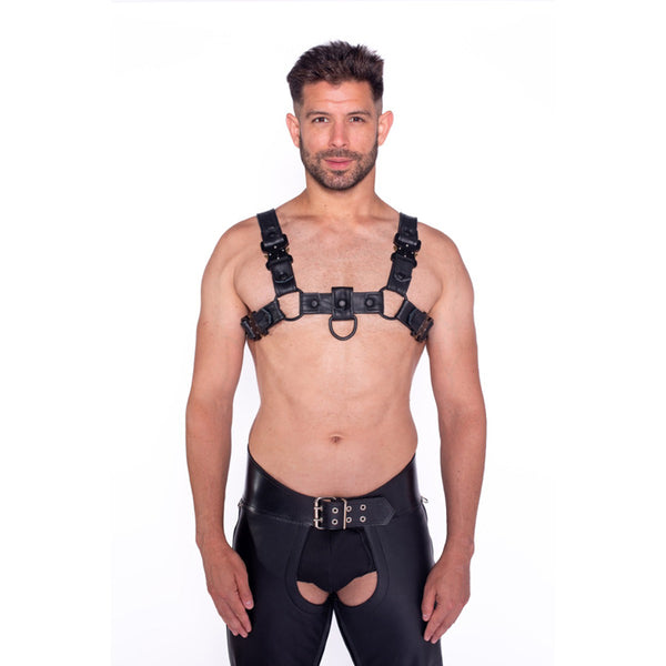 Prowler RED Bull Harness Black with Metal Fittings L