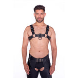 Prowler RED Bull Harness Black with Metal Fittings S