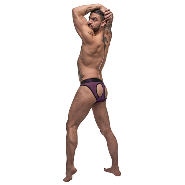 Male Power Airotic Mesh Butt Out Bikini Ppl Large