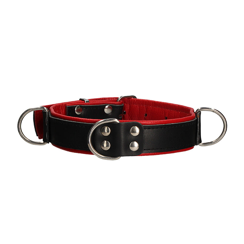 Shots Premium Leather Adjustable Bondage Collar Black/Red