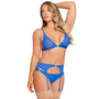 Magic Silk Sassy Bra, Garter & Rouched Panty Cobalt S/M