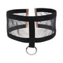 SS S&amp;M Sheer Day Collar