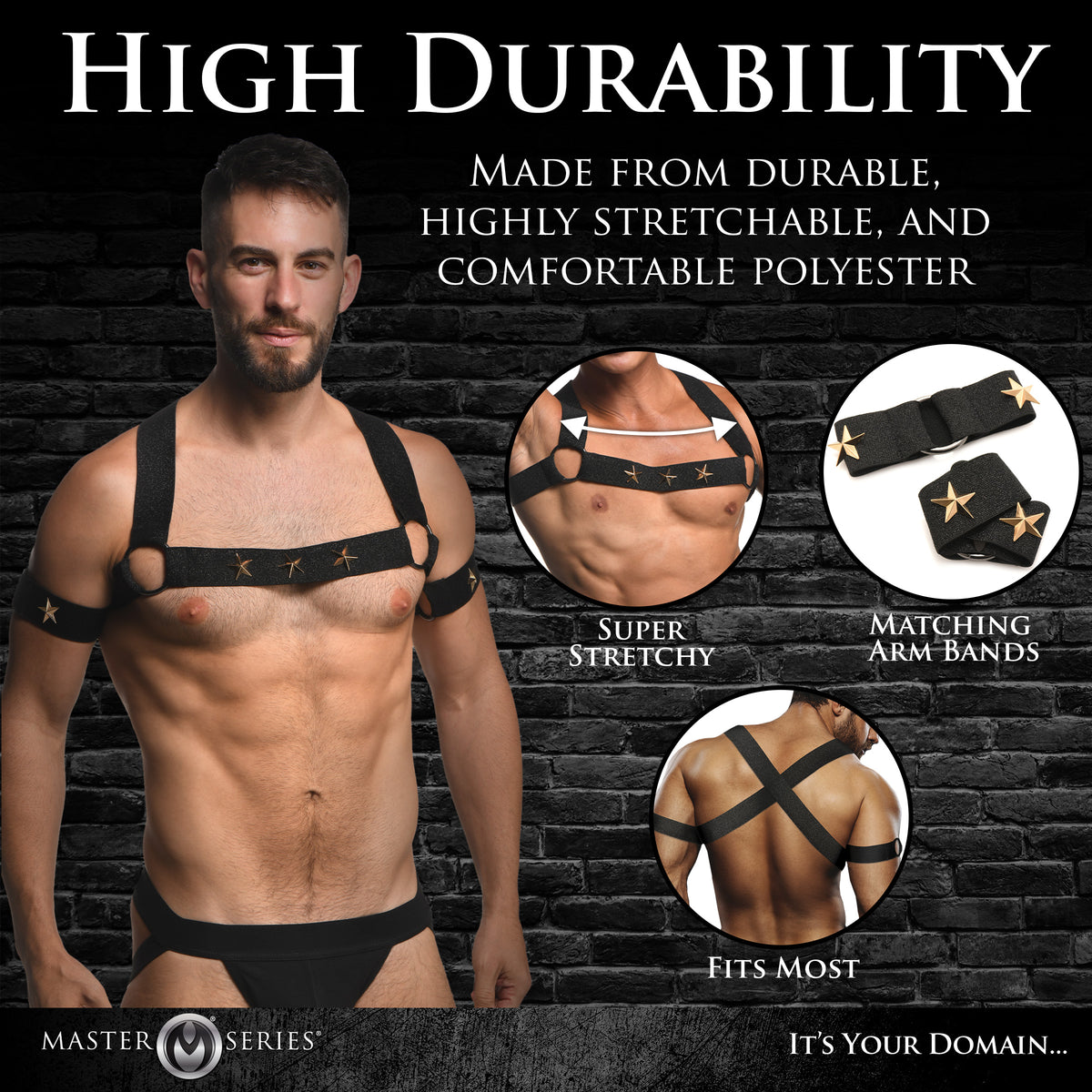 Rave Harness Elastic Chest Harness with Arm Bands - SM