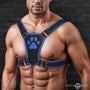 Alpha Pup Bulldog Harness - Blue