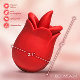 Petal Kiss Kissing and Licking Vibrator