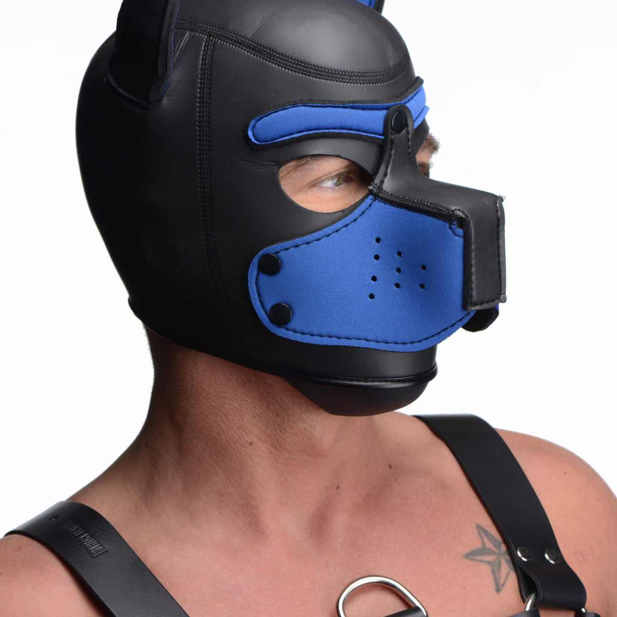 Spike Neoprene Puppy Hood - Blue