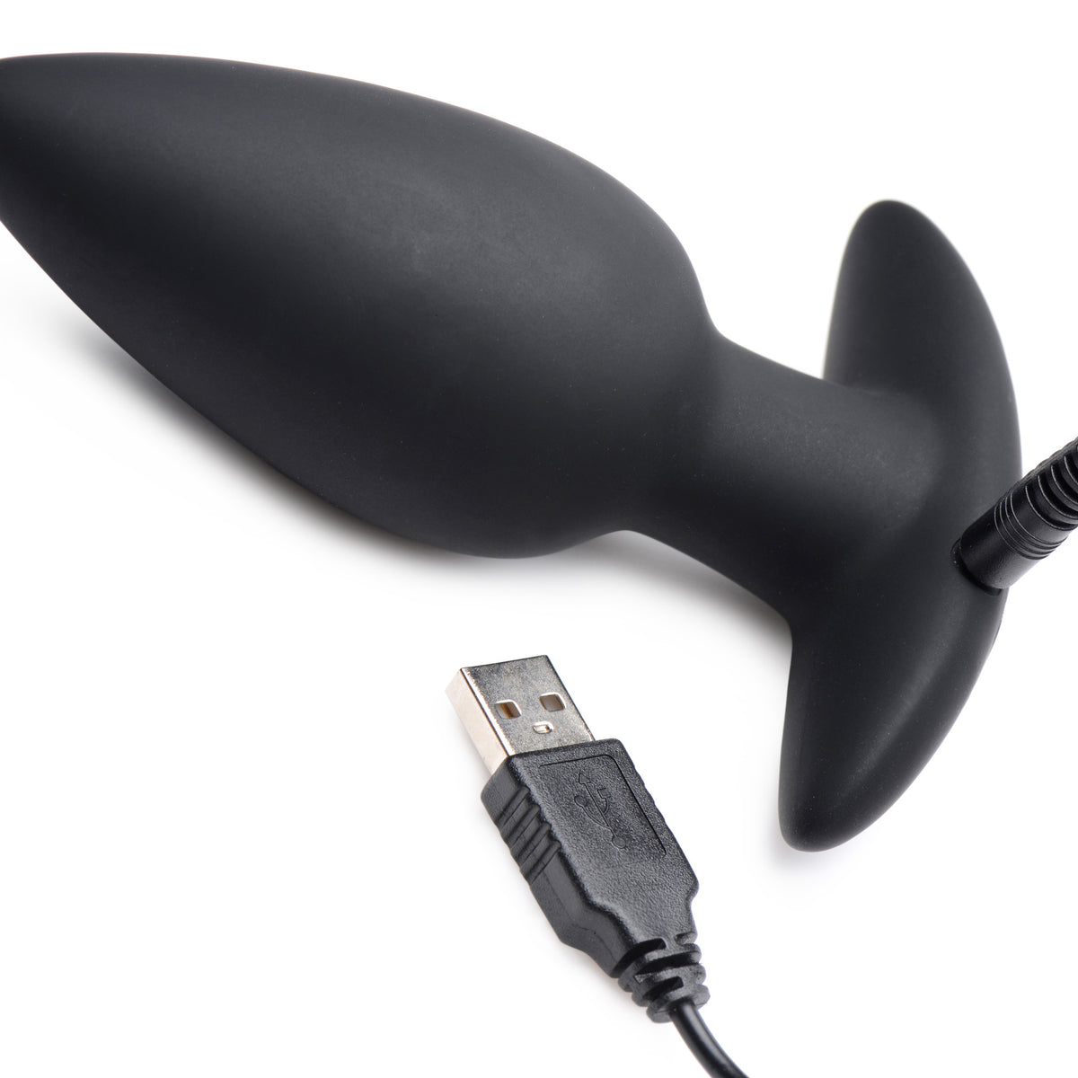 Voice Activated 10X Vibrating Butt Plug with Remote Control