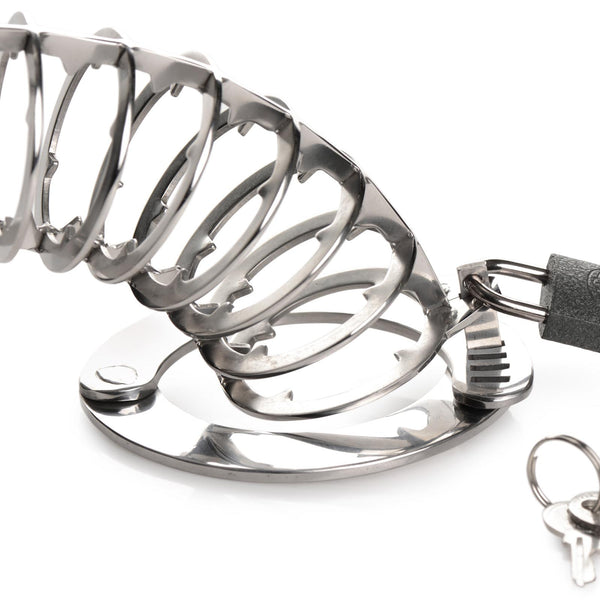 Stainless Steel Spiked Chastity Cage