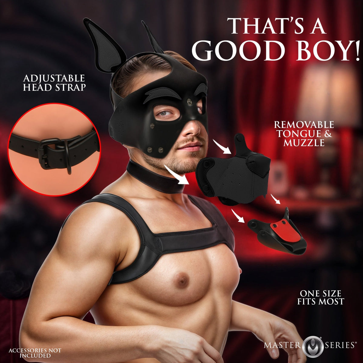 Alpha Dog Pup Hood - Black - Royal Sins
