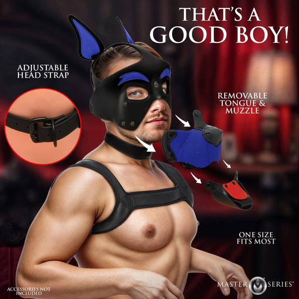 Alpha Dog Pup Hood - Blue - Royal Sins