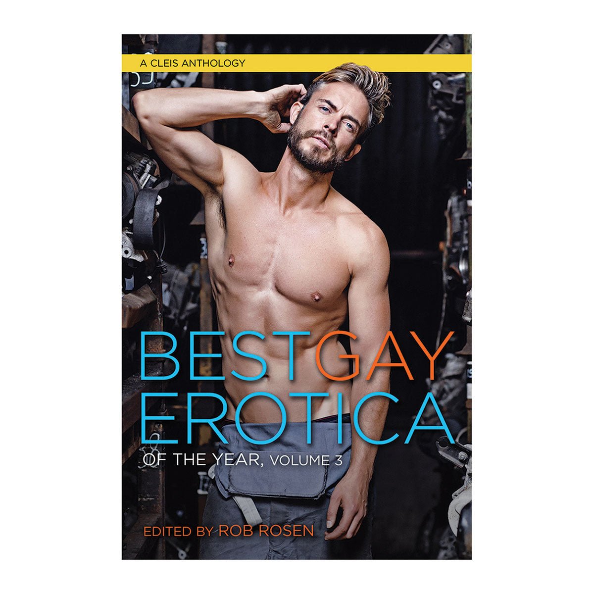 Best Gay Erotica of the Year, Volume 3 - Royal Sins