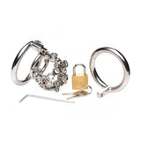 Bolted Chastity Cage with Spikes - Royal Sins