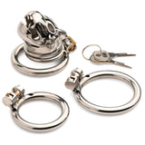 Caged Cougar Locking Chastity Cage - Royal Sins