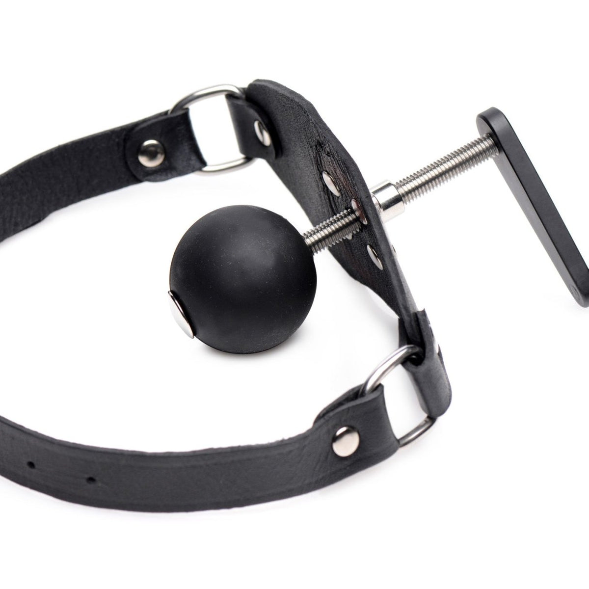 Crank Ball Gag - Royal Sins