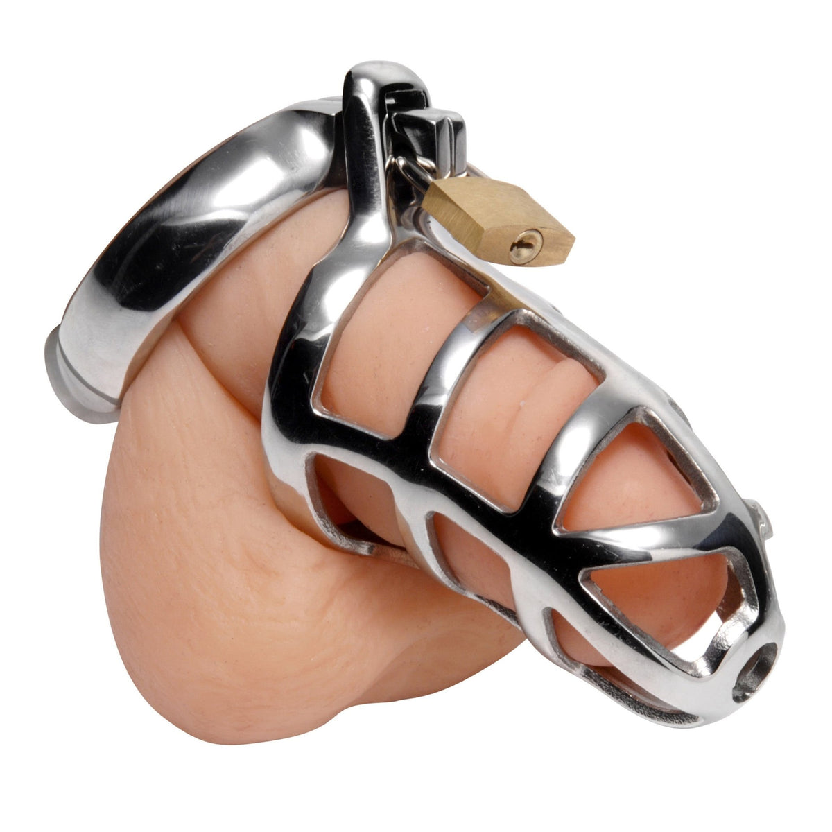 Detained Stainless Steel Chastity Cage - Royal Sins