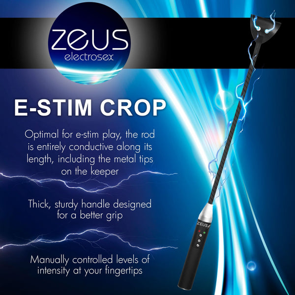 E - stim Crop - Royal Sins