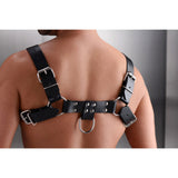 English Bull Dog Harness - Royal Sins