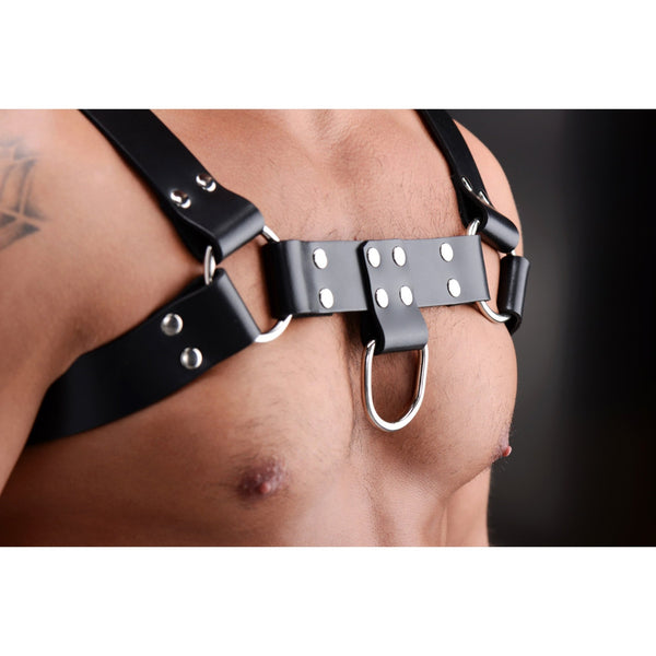 English Bull Dog Harness - Royal Sins