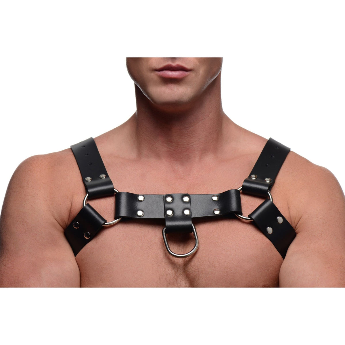 English Bull Dog Harness with Cock Strap - Royal Sins