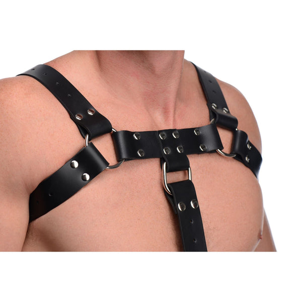 English Bull Dog Harness with Cock Strap - Royal Sins