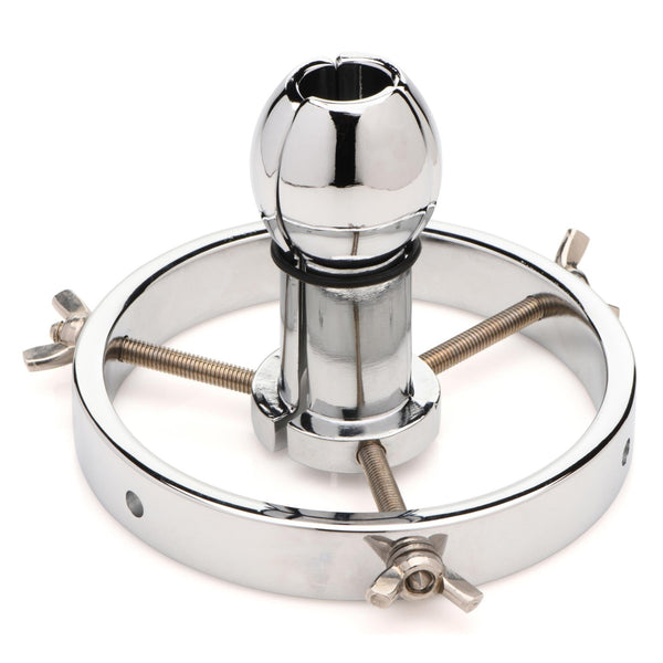 Forced Spread Stainless Steel Anal Explorer - Royal Sins