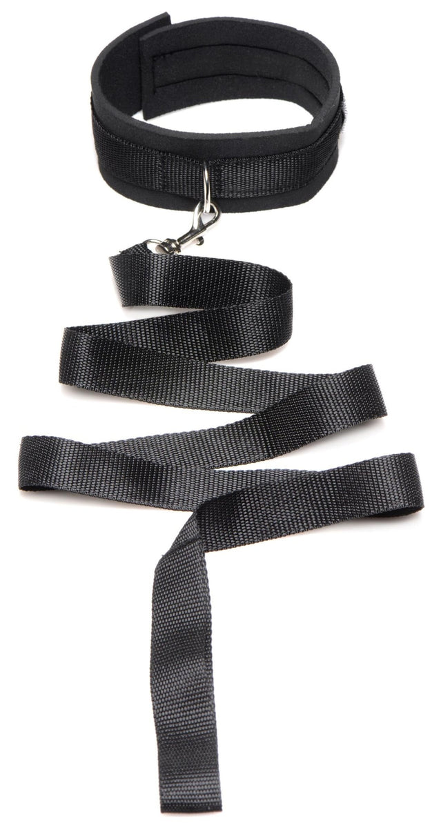 Frisky 46 Inch Leash and Collar Set - Royal Sins