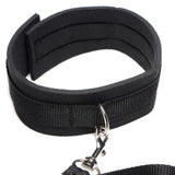 Frisky 46 Inch Leash and Collar Set - Royal Sins