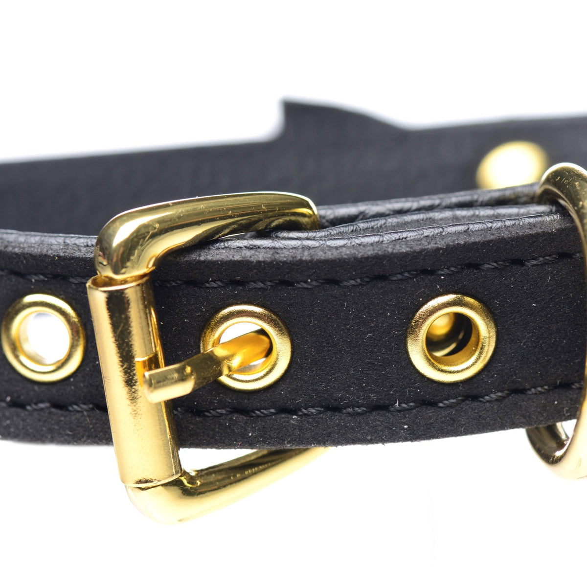 Golden Kitty Cat Bell Collar - Black/Gold - Royal Sins