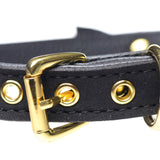 Golden Kitty Cat Bell Collar - Black/Gold - Royal Sins