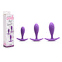 Gossip Rump Bumpers 3 - Piece Silicone Anal Plug Training Set Violet - Royal Sins
