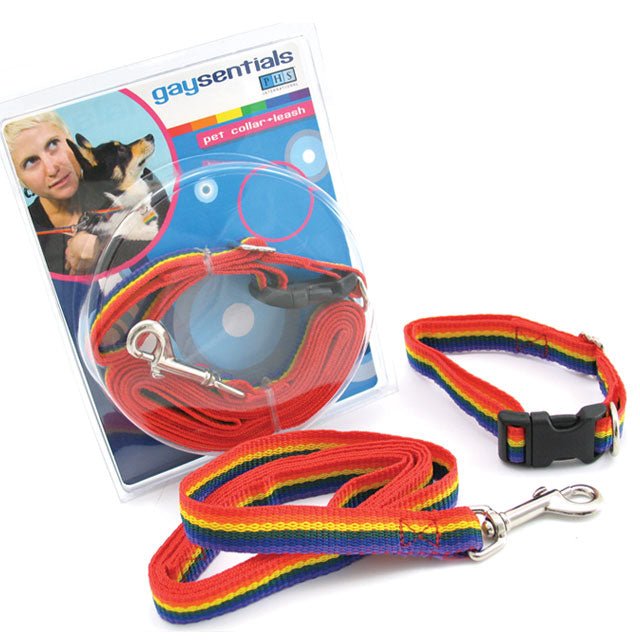 GS Pet Combo Leash/Collar (Medium) - Royal Sins