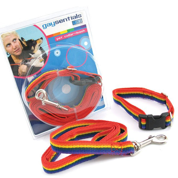 GS Pet Combo Leash/Collar (Medium) - Royal Sins