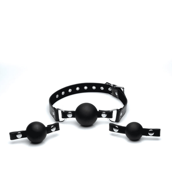 Interchangeable Silicone Ball Gag Set - Royal Sins