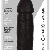 JOCK 6 Inch Dong Black - Royal Sins