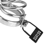 Keyholder 10 Pack Numbered Plastic Chastity Locks - Royal Sins