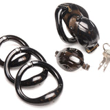 Lockdown Customizable Chastity Cage - Black - Royal Sins