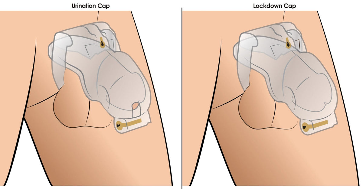 Lockdown Customizable Chastity Cage - Clear - Royal Sins