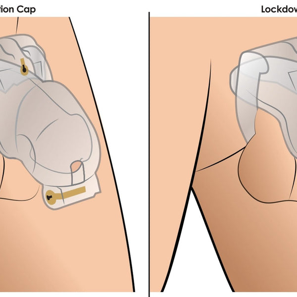 Lockdown Customizable Chastity Cage - Clear - Royal Sins