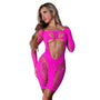 Magic Silk Seamless Long Sleeve Above the Knee Dress Pink O/S - Royal Sins
