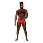 Male Power Sassy Lace Open Ring Thong Red L/XL - Royal Sins
