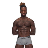 Male Power Sexagon Mini Short Gray M - Royal Sins