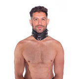 Prowler RED Leather Posture Collar L/XL - Royal Sins