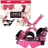 Sinful Vinyl Bondage Kit Pink - Royal Sins
