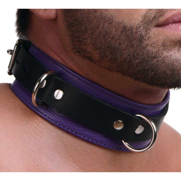 Strict Leather Deluxe Locking Collar - Purple and Black