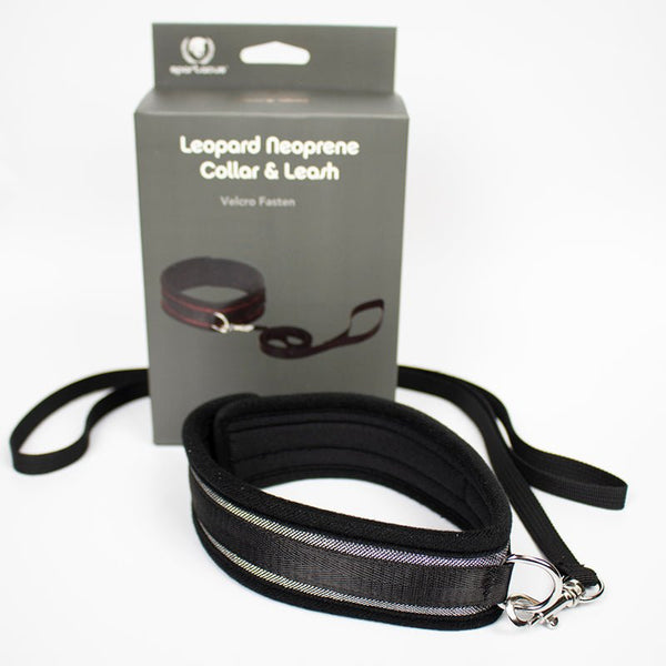 Spartacus Collar And Leash Neoprene Silver - Royal Sins