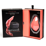 The Companion Remote Control Panty Vibe - Royal Sins