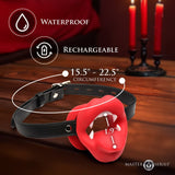 Vampire Vibrating Mouth Gag - Royal Sins